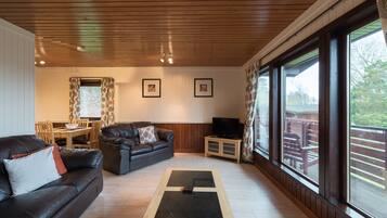 Cabin, Multiple Beds | Living room | TV, DVD player