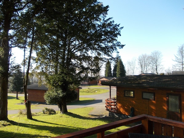Cabin, Multiple Beds | Property grounds - Birch Lodge 23 With Hot Tub, Newton Stewart (Newton Stewart)