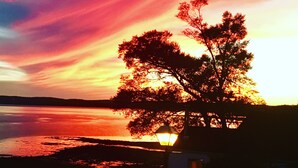 A sunset over a body of water with a tree silhouetted against the sky and a street lamp in the foreground.