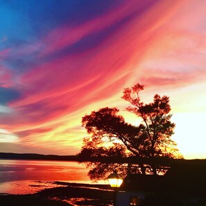 住宿正面 (夜晚)