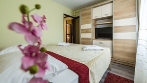 Comfort Apartment, 1 Queen Bed with Sofa bed, City View