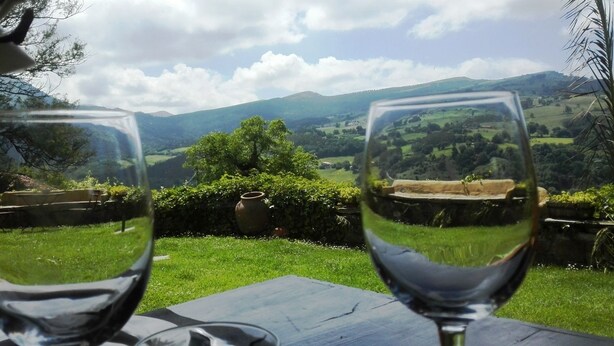 Zwei Weingläser auf einem Tisch mit Blick auf eine grüne Landschaft und Hügel im Hintergrund.