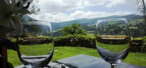 Deux verres à vin sont posés sur une table, offrant une vue sur un paysage verdoyant et des collines en arrière-plan.