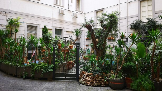 Un patio con piso de piedra, rodeado de macetas con plantas y una reja de metal.