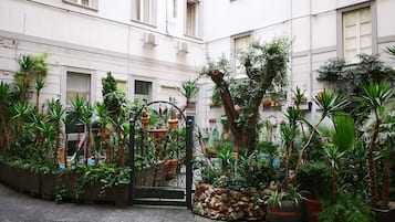 Cour