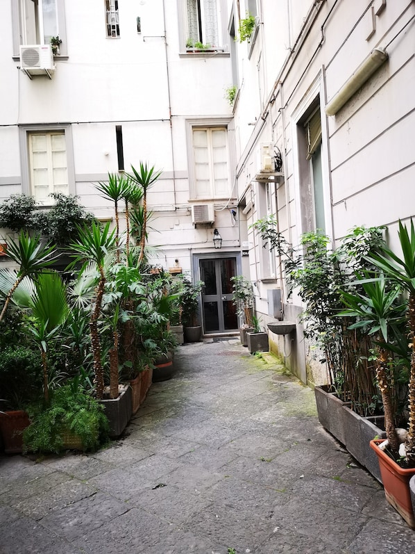 Cour