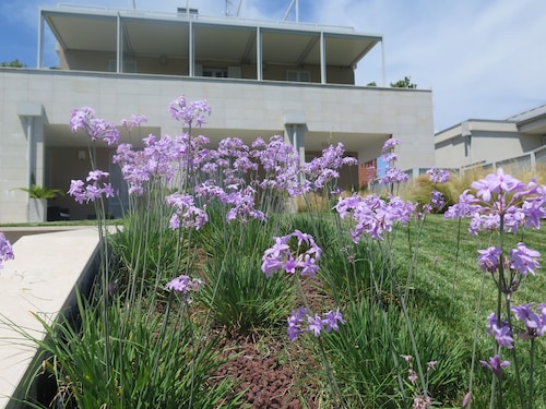 Frem SGV between Chianti Florence and Arezzo