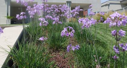 Frem SGV between Chianti Florence and Arezzo