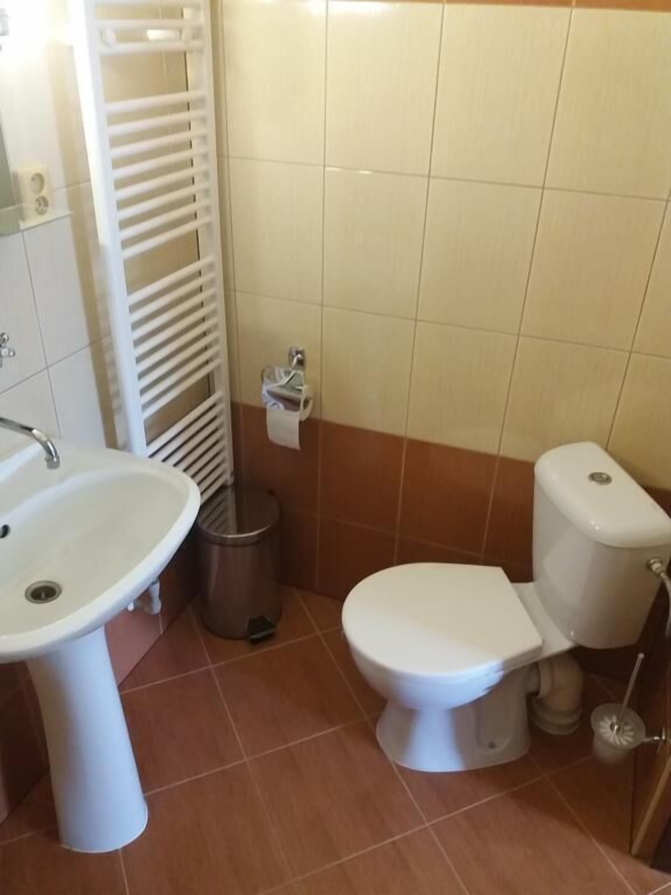 A bathroom with a white sink, toilet, and a trash bin.