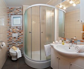 A modern bathroom with a glass-enclosed shower, a toilet, and a sink with a mirror.