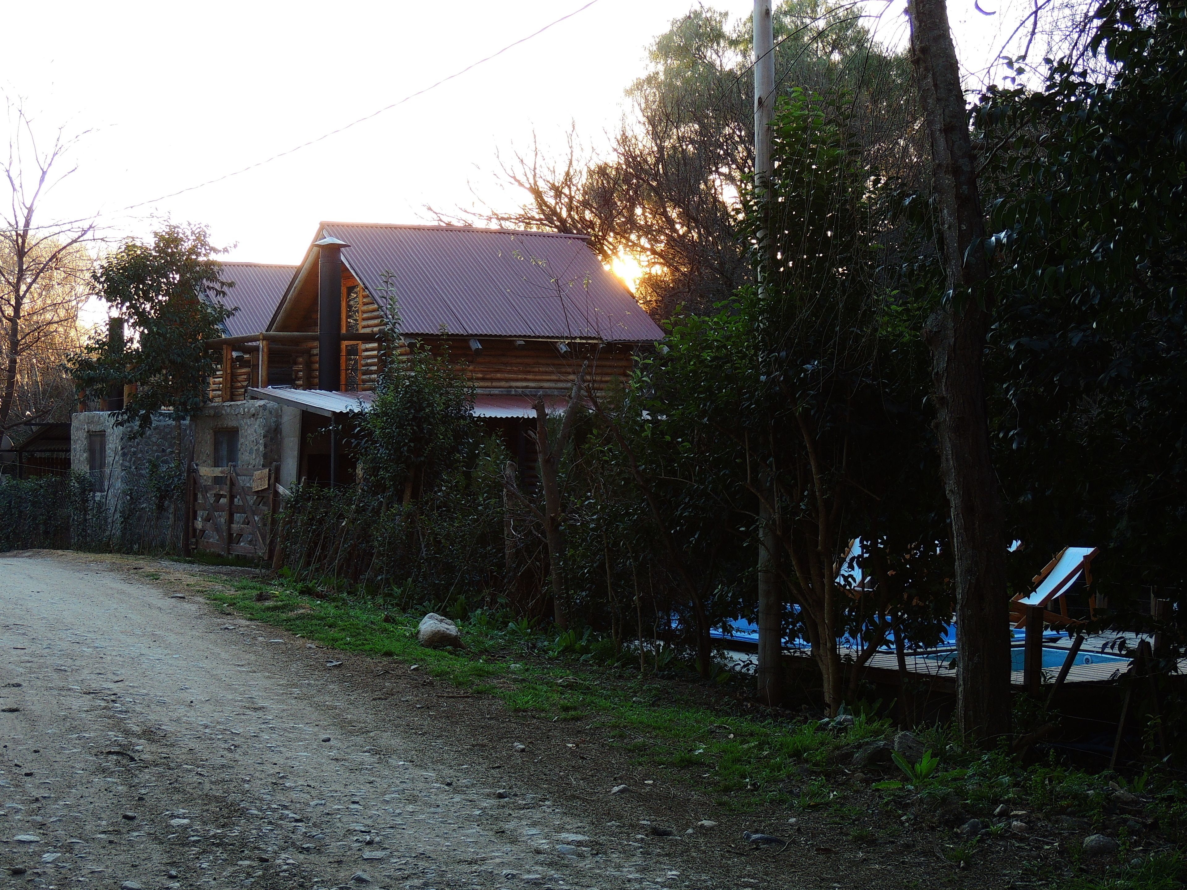 A rustic log cabin with a metal roof, surrounded by dense foliage and a dirt road.