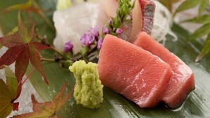 Een bord sashimi met verschillende plakjes vis en een klein hoopje wasabi.