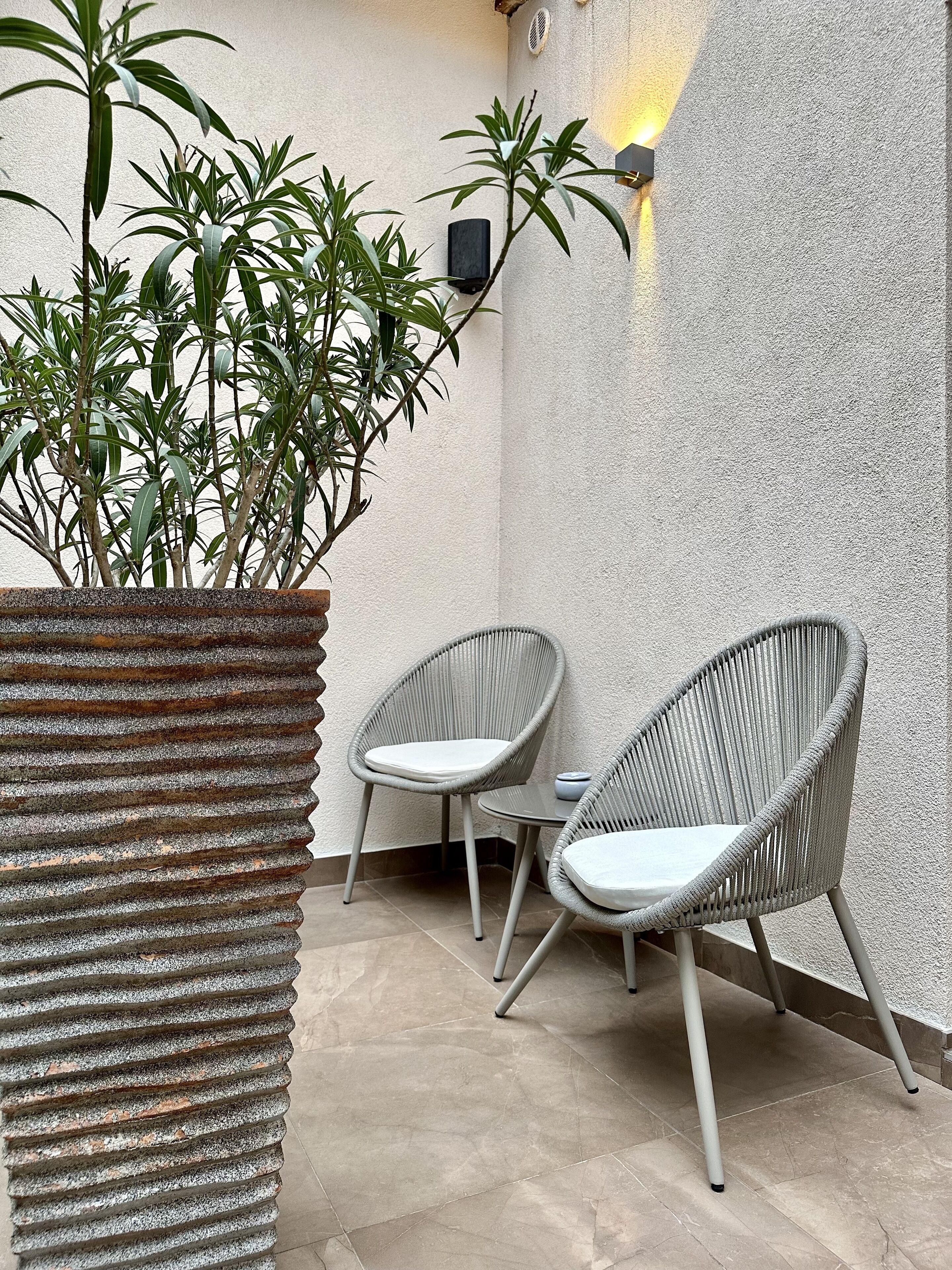 A patio area with two wicker chairs, a large potted plant, and a textured wall.