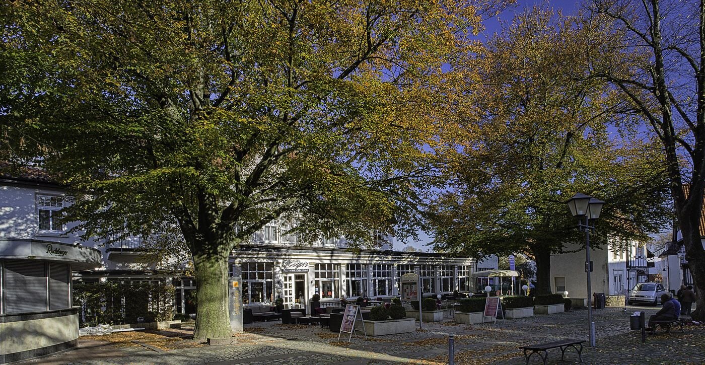 A building with large windows, outdoor seating, and a tree in front.