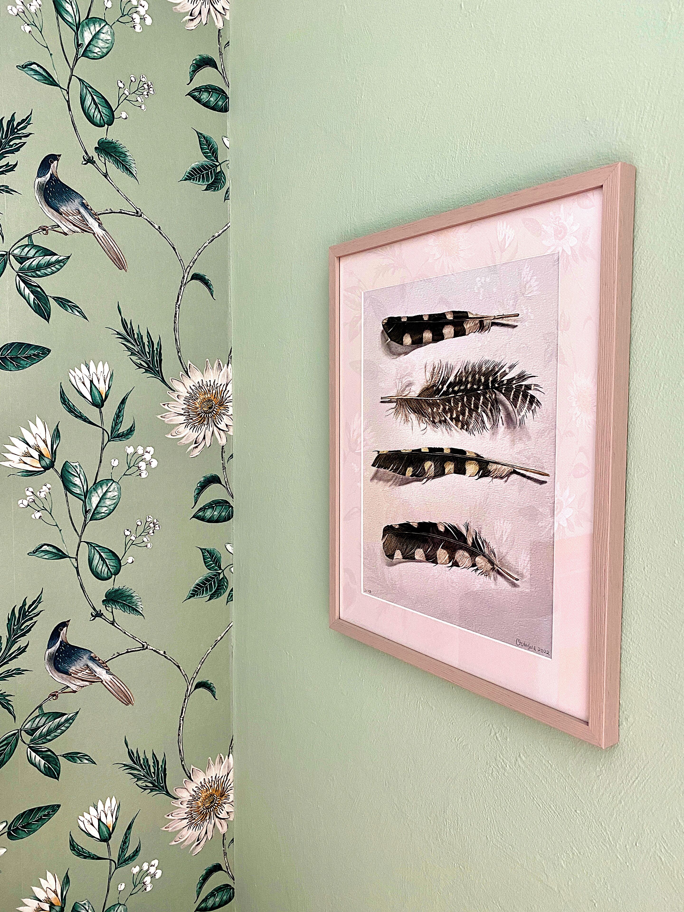 Una obra de arte enmarcadas con plumas de pájaro en una pared.