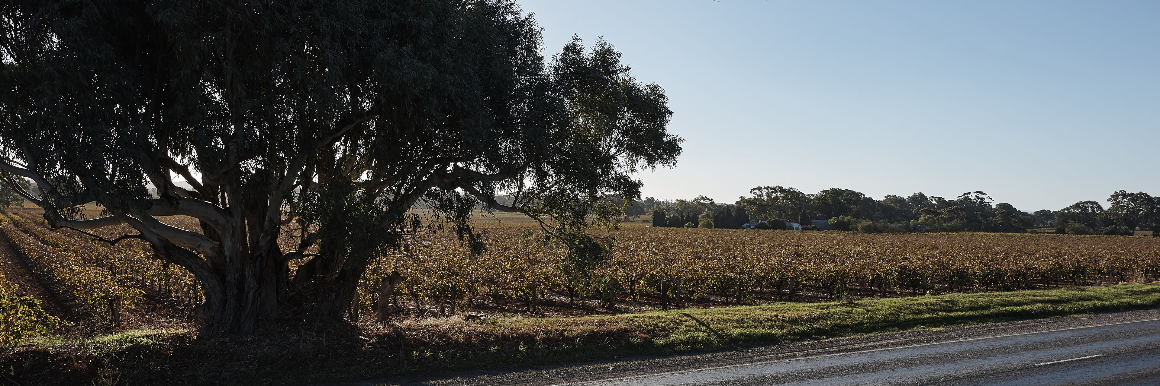 Tomfoolery Winegrower's Cottage — image 27