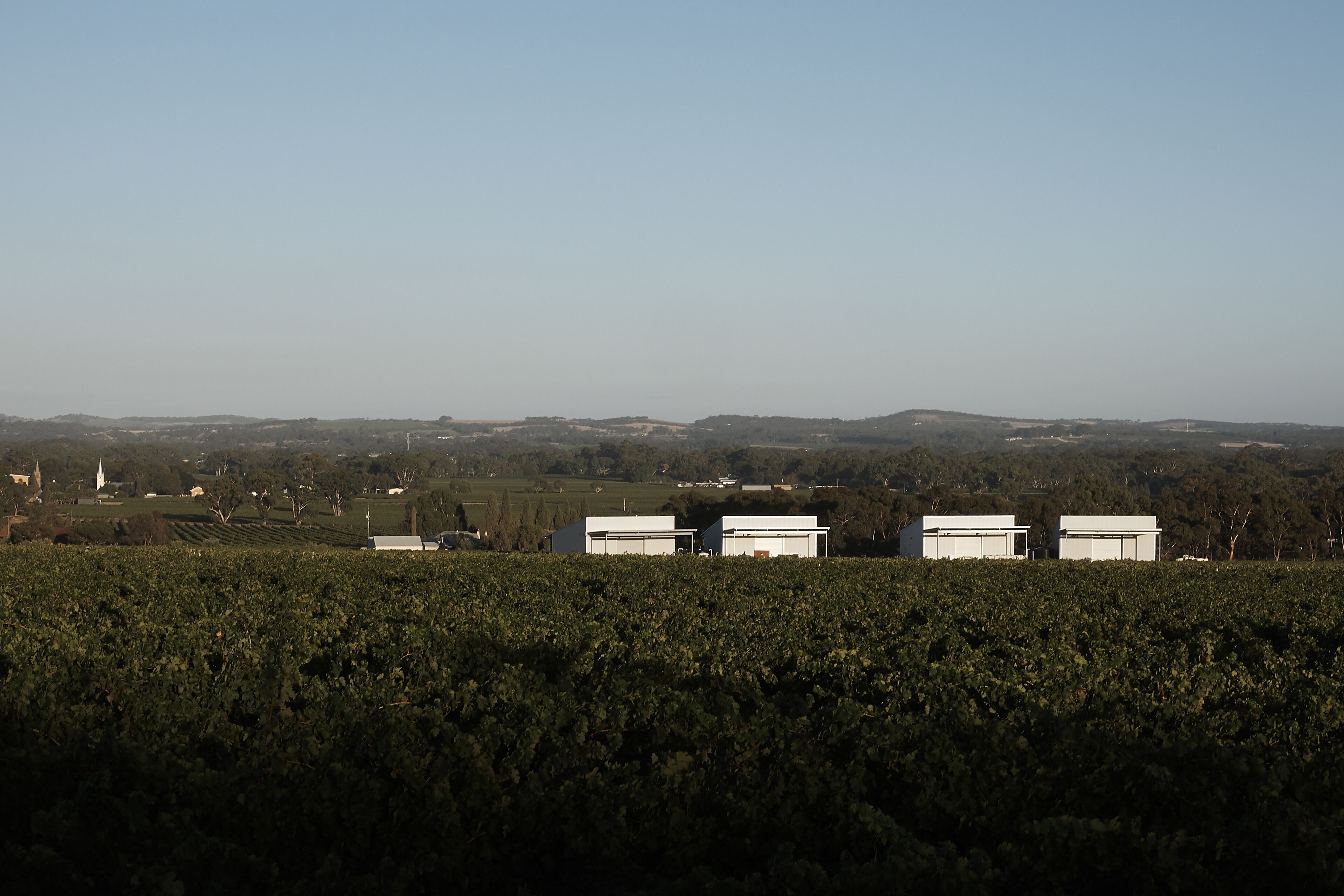 Tomfoolery Winegrower's Cottage — image 7