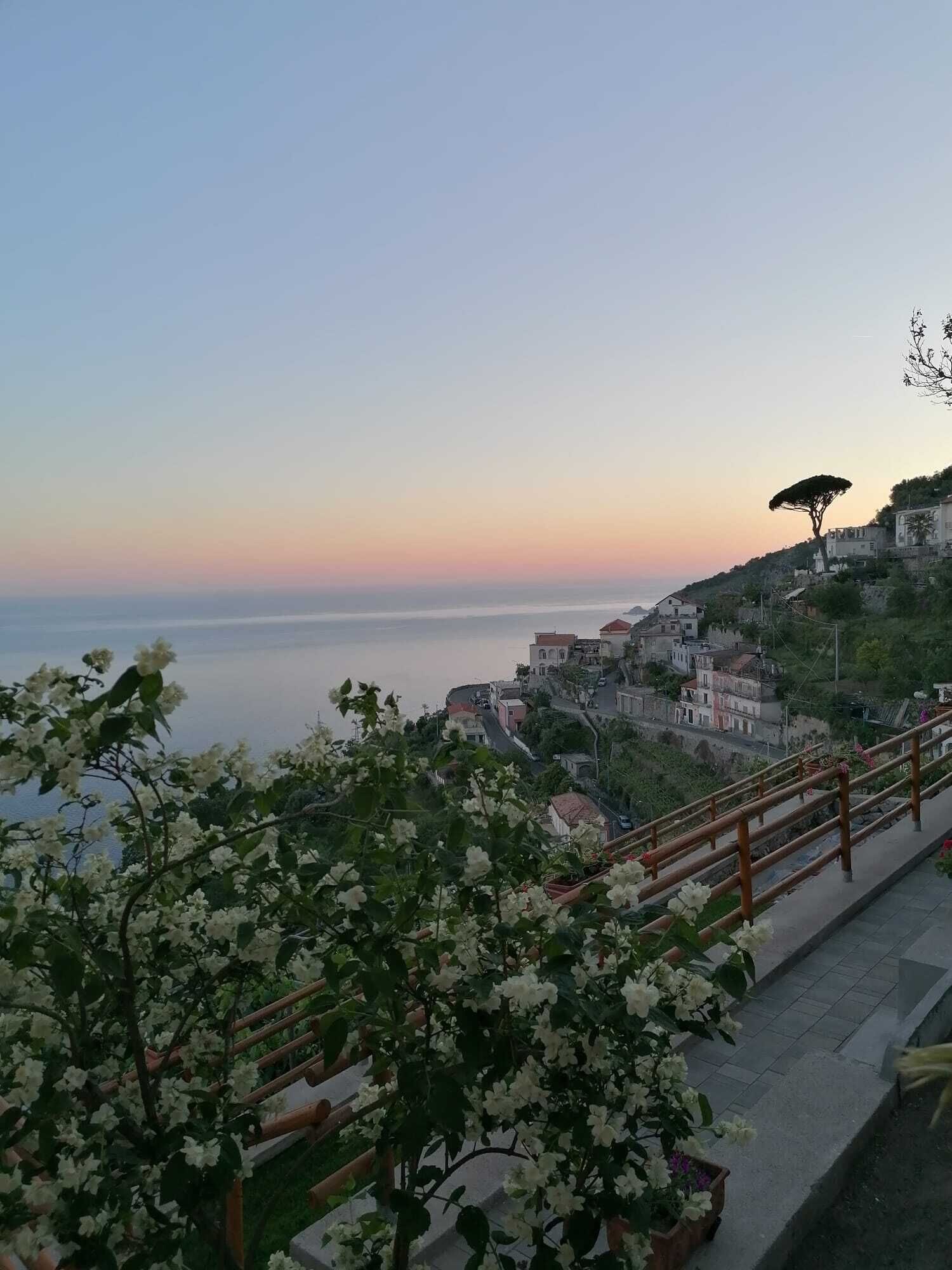 A coastal town with buildings on a hillside, a wooden railing, and flowering plants in the foreground.