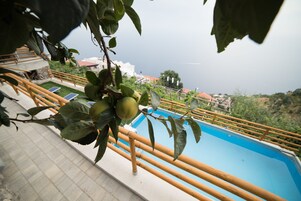 Zona de piscina con vistas al mar, barandilla de bambú y una planta de hojas verdes.