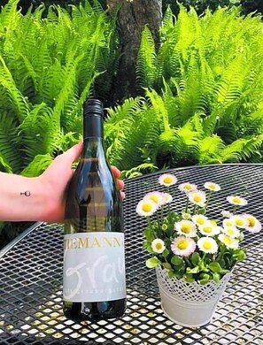 A bottle of wine on a table with a potted plant of daisies.