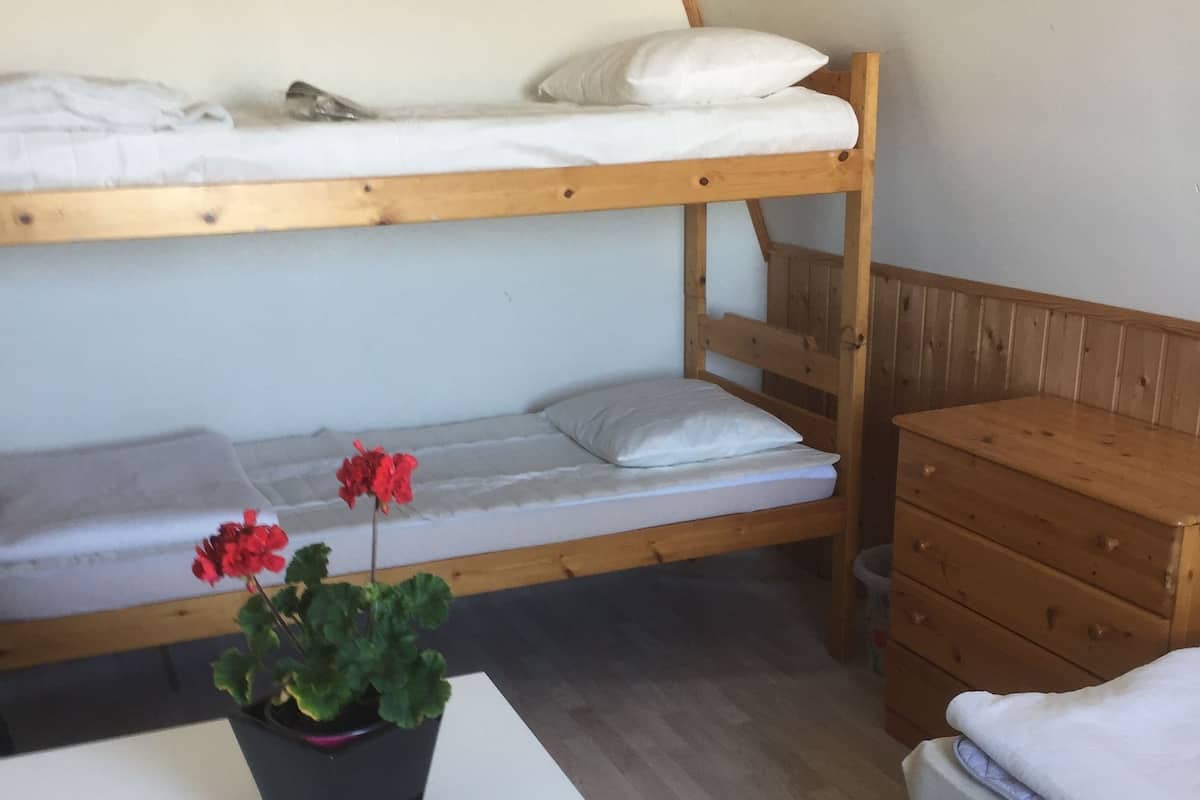 Ein Schlafraum im Studentenwohnheimstil mit Stockbetten, einer Holzkommode, einem kleinen Tisch und einem Topfpflanzen.
