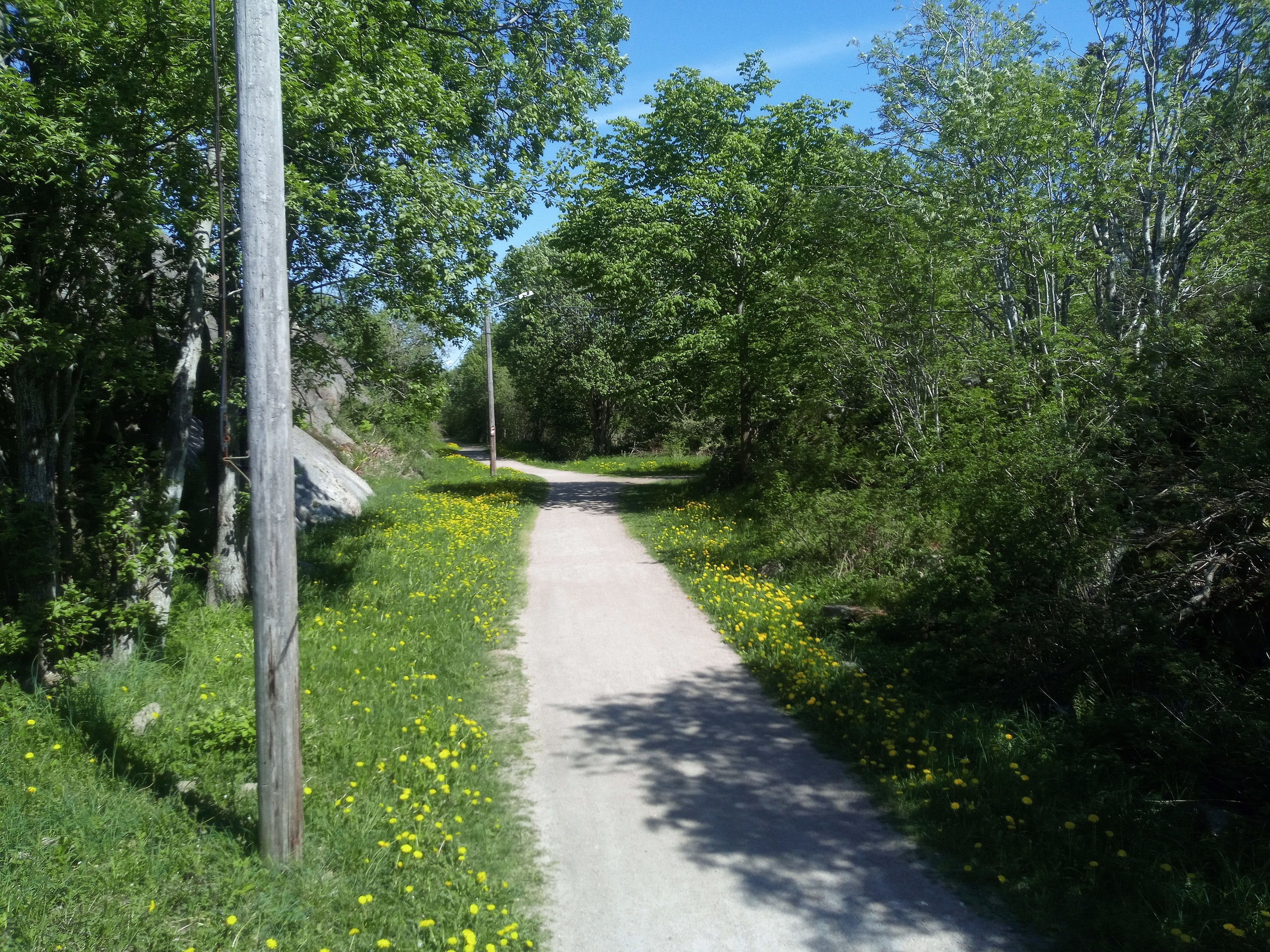 Ein schmaler, gepflasterter Weg, der von üppigem Grün und gelben Blumen gesäumt wird und durch ein bewaldetes Gebiet führt.