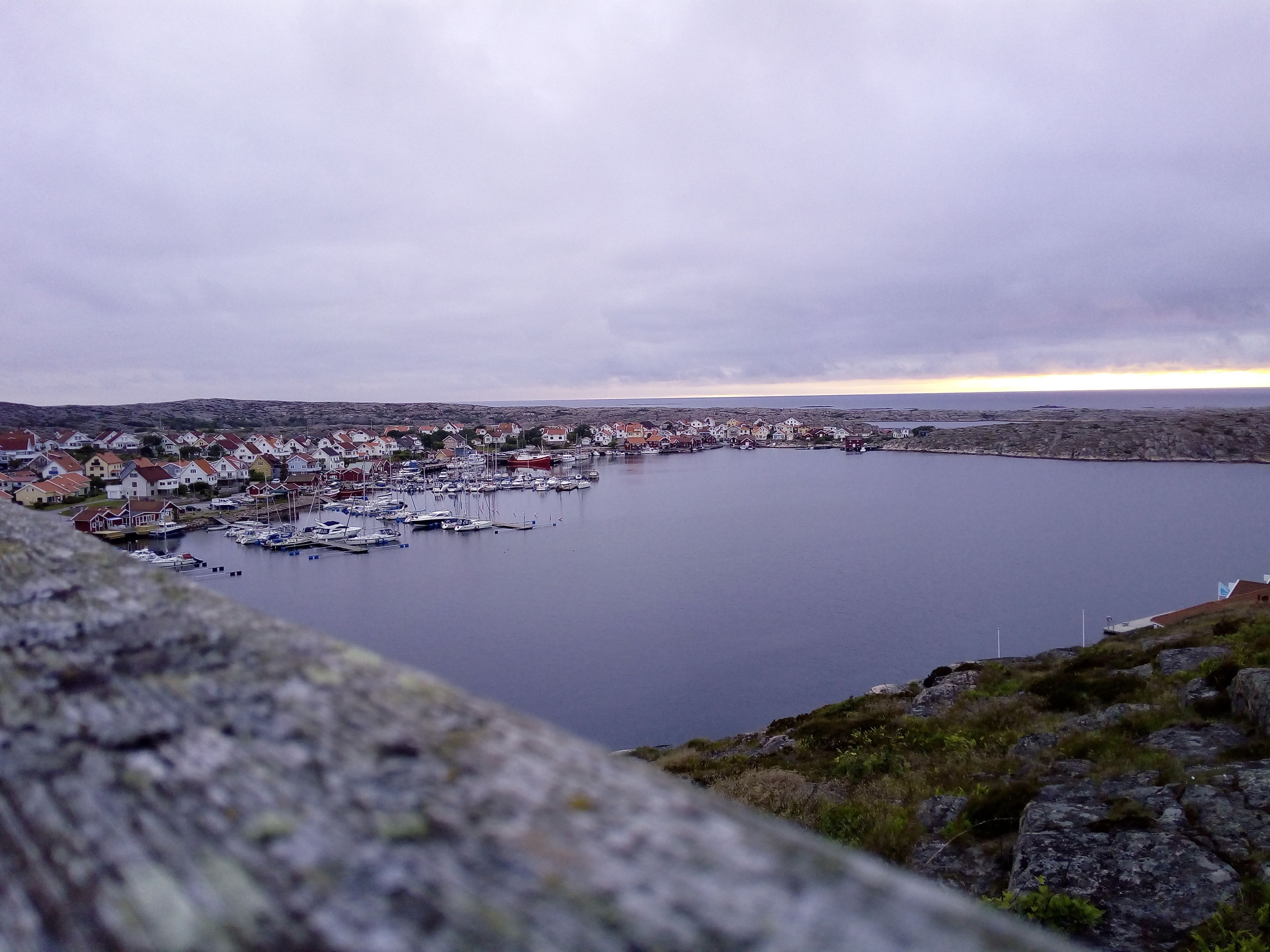 A coastal town with houses and boats docked at a harbor.