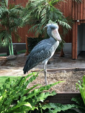 Property grounds - Kakegawa Station Hotel (Kakegawa)