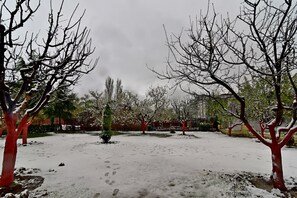 Garden - Hotel The Grand Mamta (Srinagar)