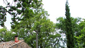 Ngoại thất