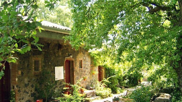 Ngoại thất