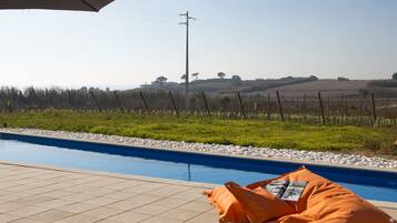 Outdoor pool, sun loungers