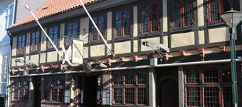 City Hotel Nattergalen Apartments