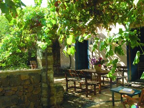 Garden - Agriturismo Hibiscus (Ustica)