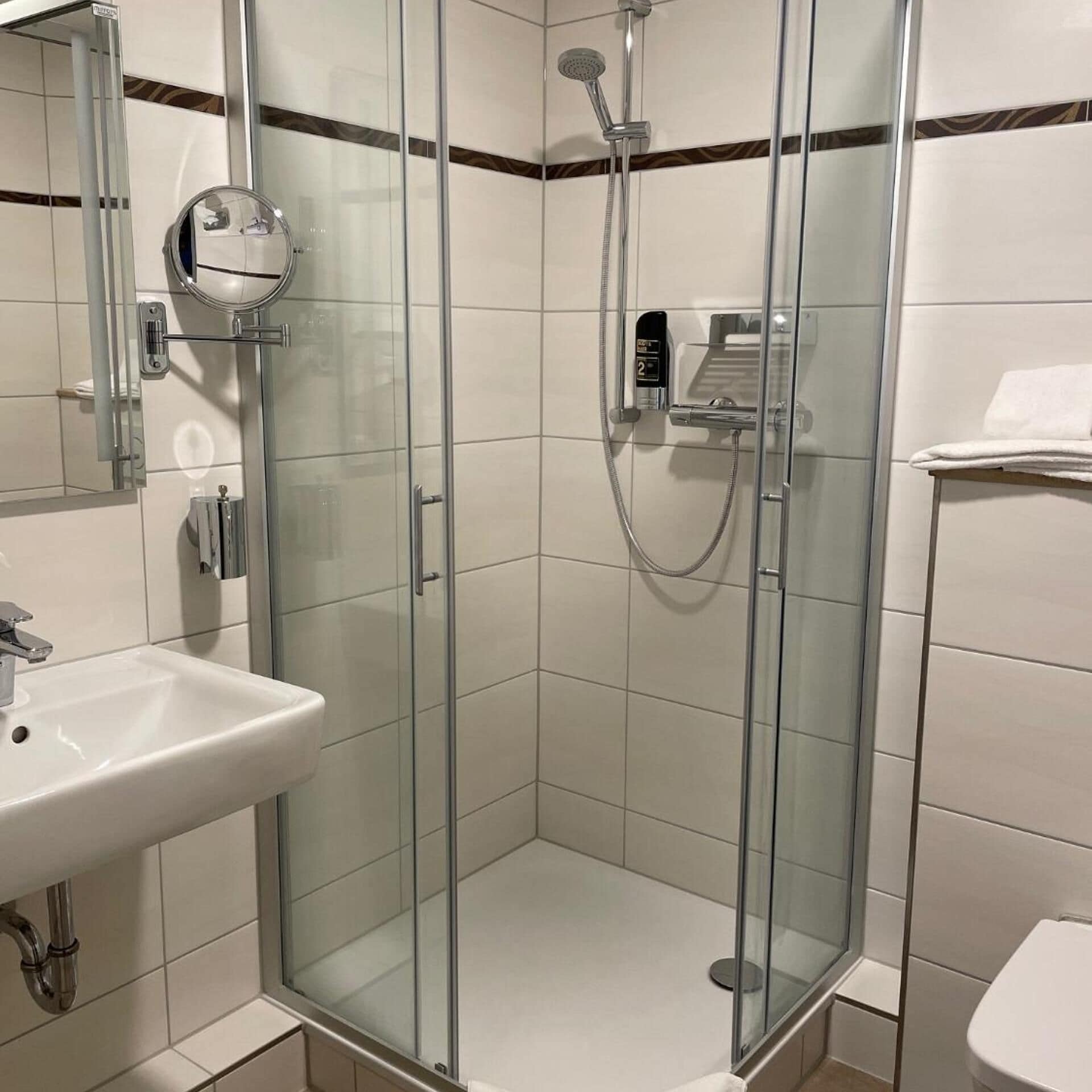 A modern bathroom with a glass-enclosed shower, a white sink, and a toilet.