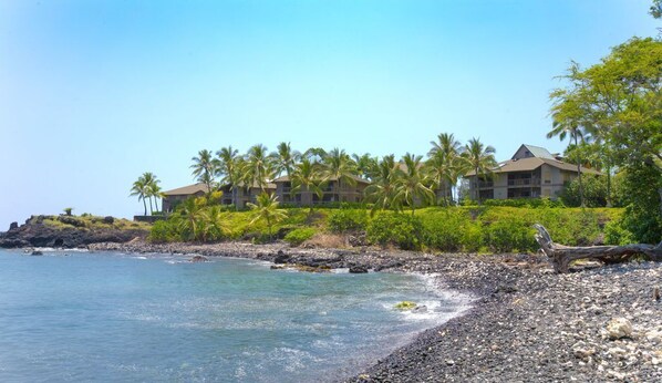 Beach - Aloha Condos, Kanaloa at Kona, Condo 3703, Oceanfront, AC (Kailua Kona)