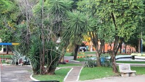 A park with a paved walkway, benches, and various trees. - Hotel Obino São Borja (São Borja)