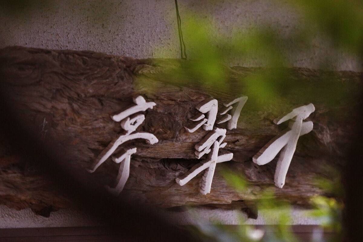 外部細節
