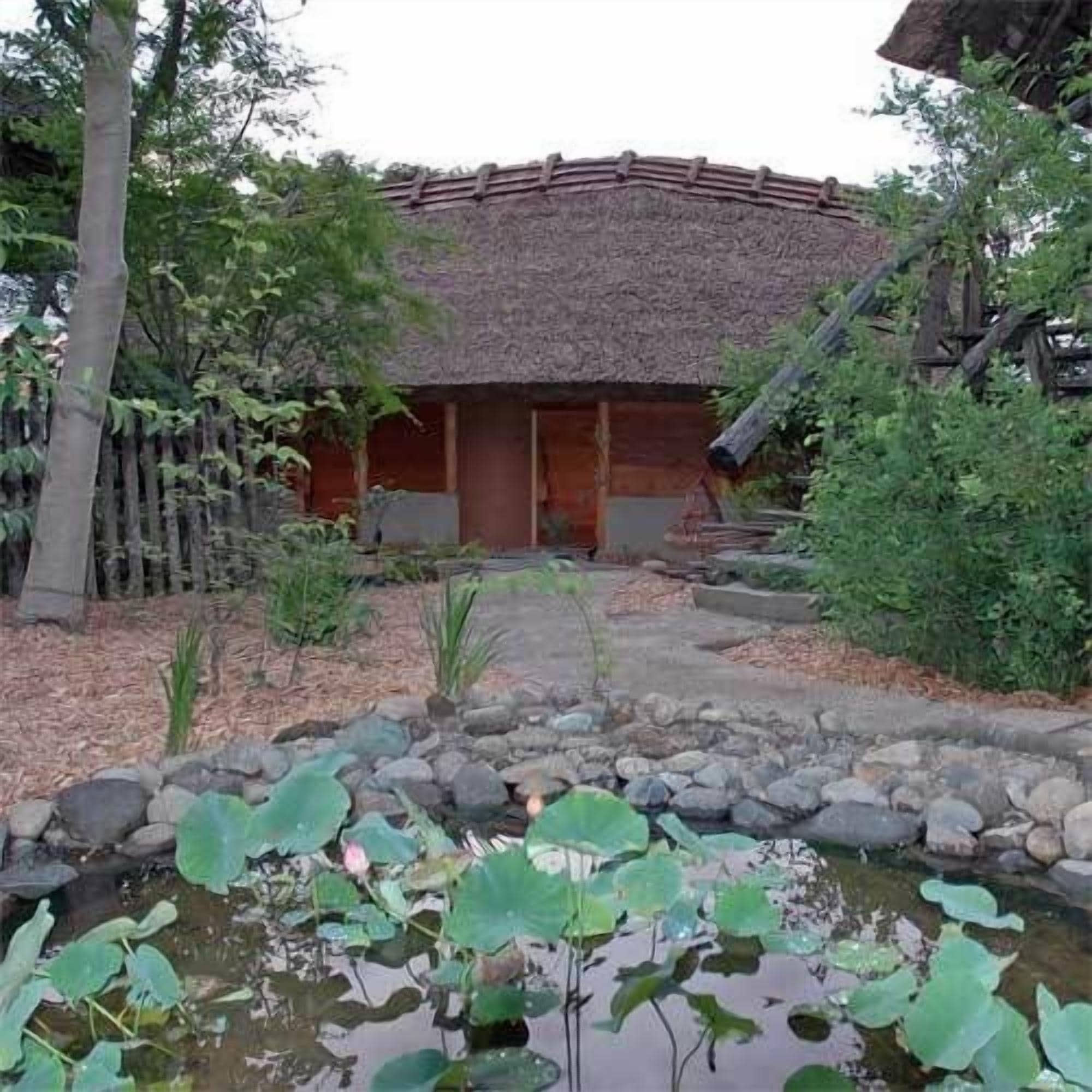 A traditional building with a thatched roof, surrounded by a garden with a pond and lily pads.
