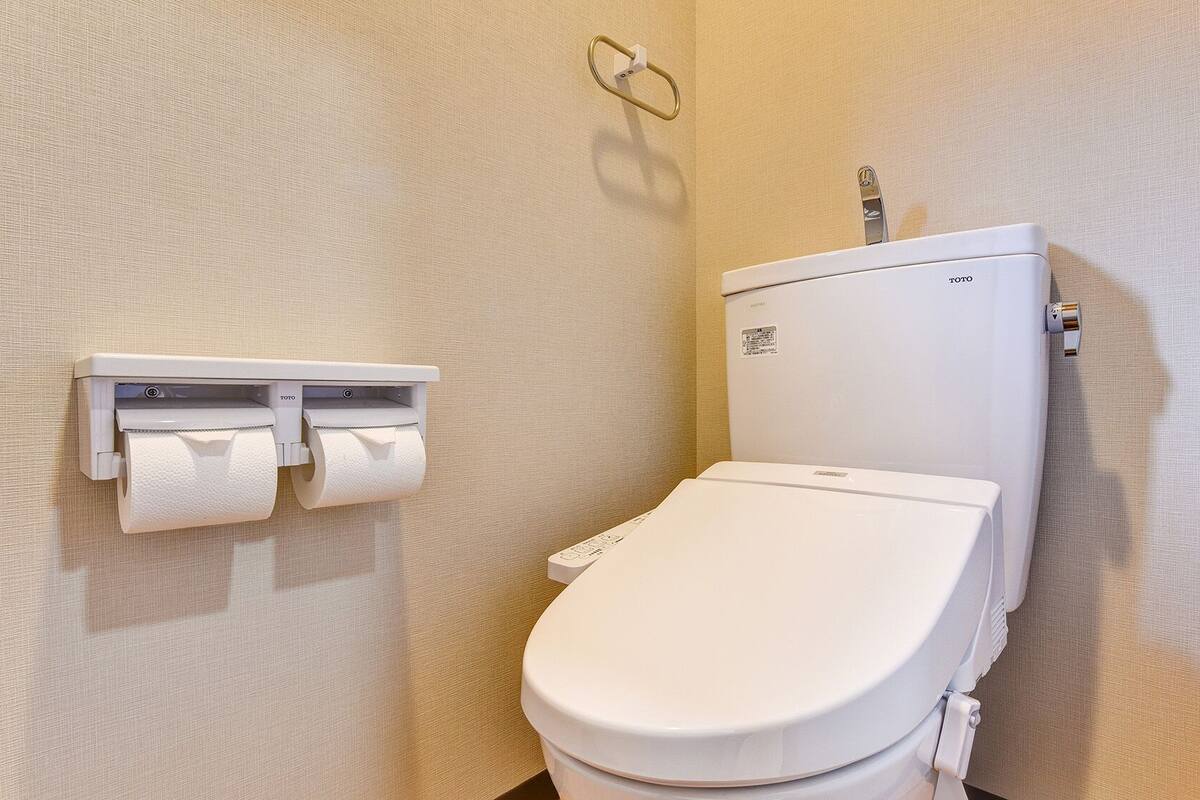 Des toilettes avec un abattant et un couvercle blancs, un porte-rouleau de papier toilette fixé au mur, contenant deux rouleaux, et un distributeur de papier toilette visible.