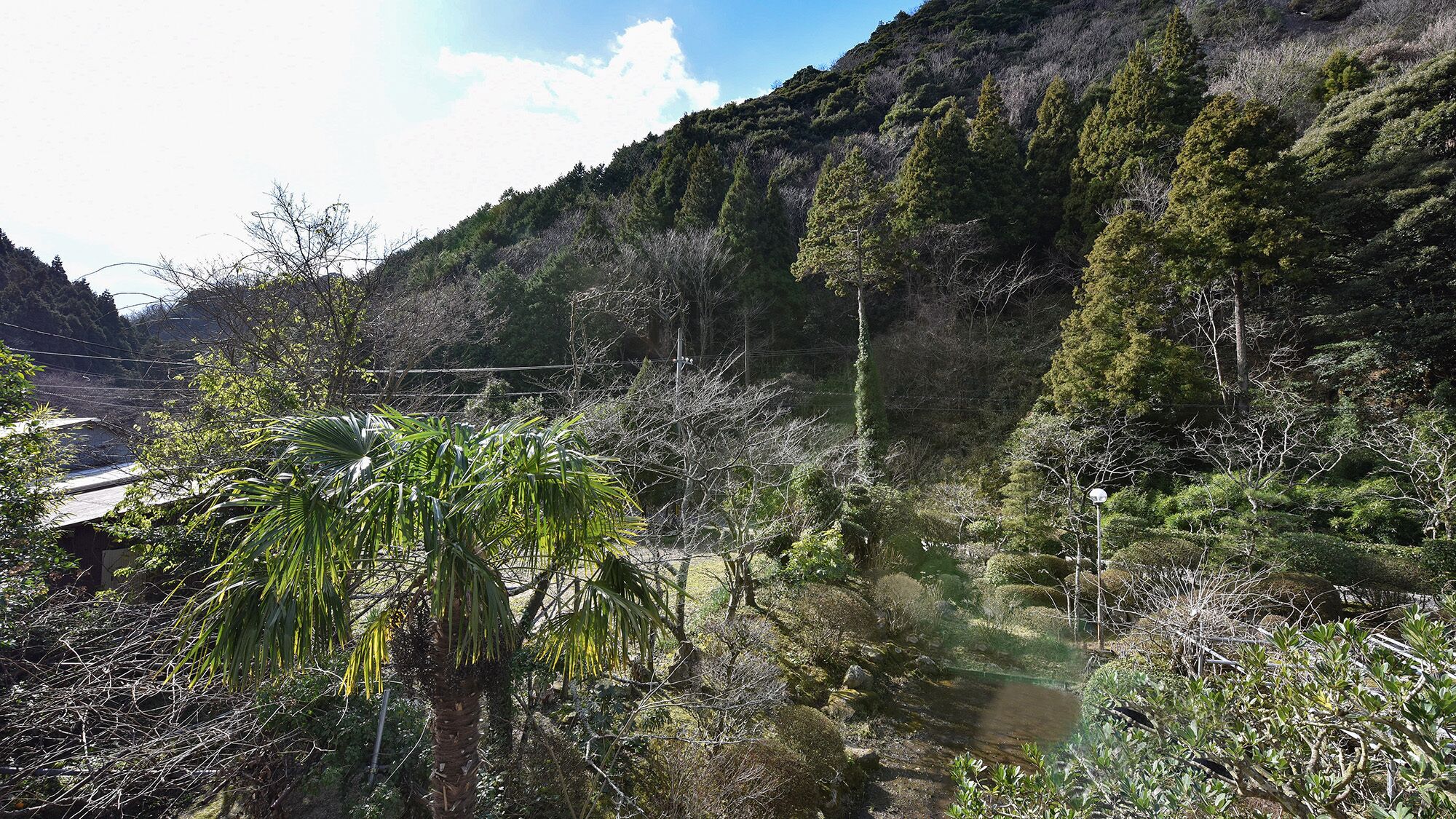 Un paysage naturel comprenant une rivière, une forêt dense et un pont.