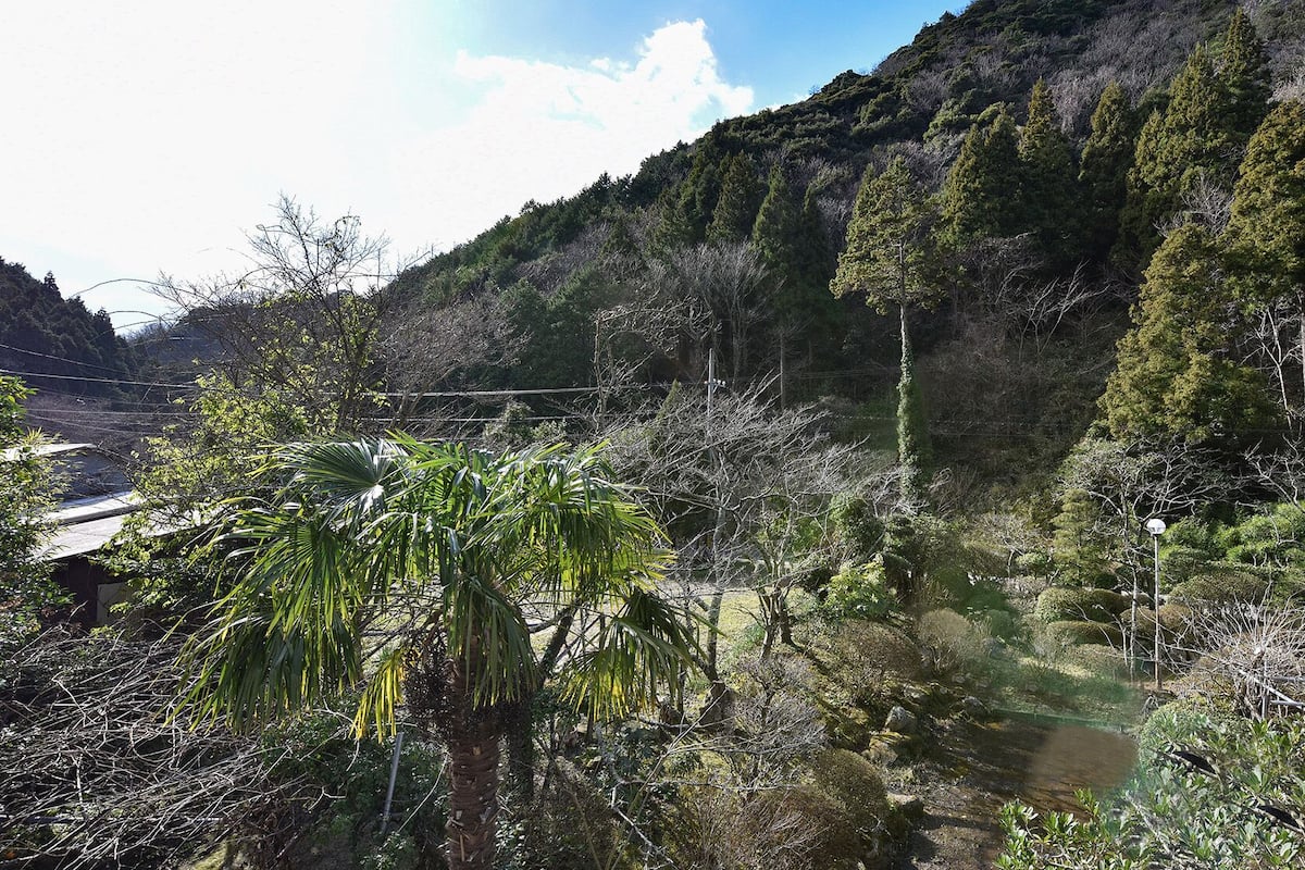 Un paysage naturel comprenant une rivière, une forêt dense et un pont.
