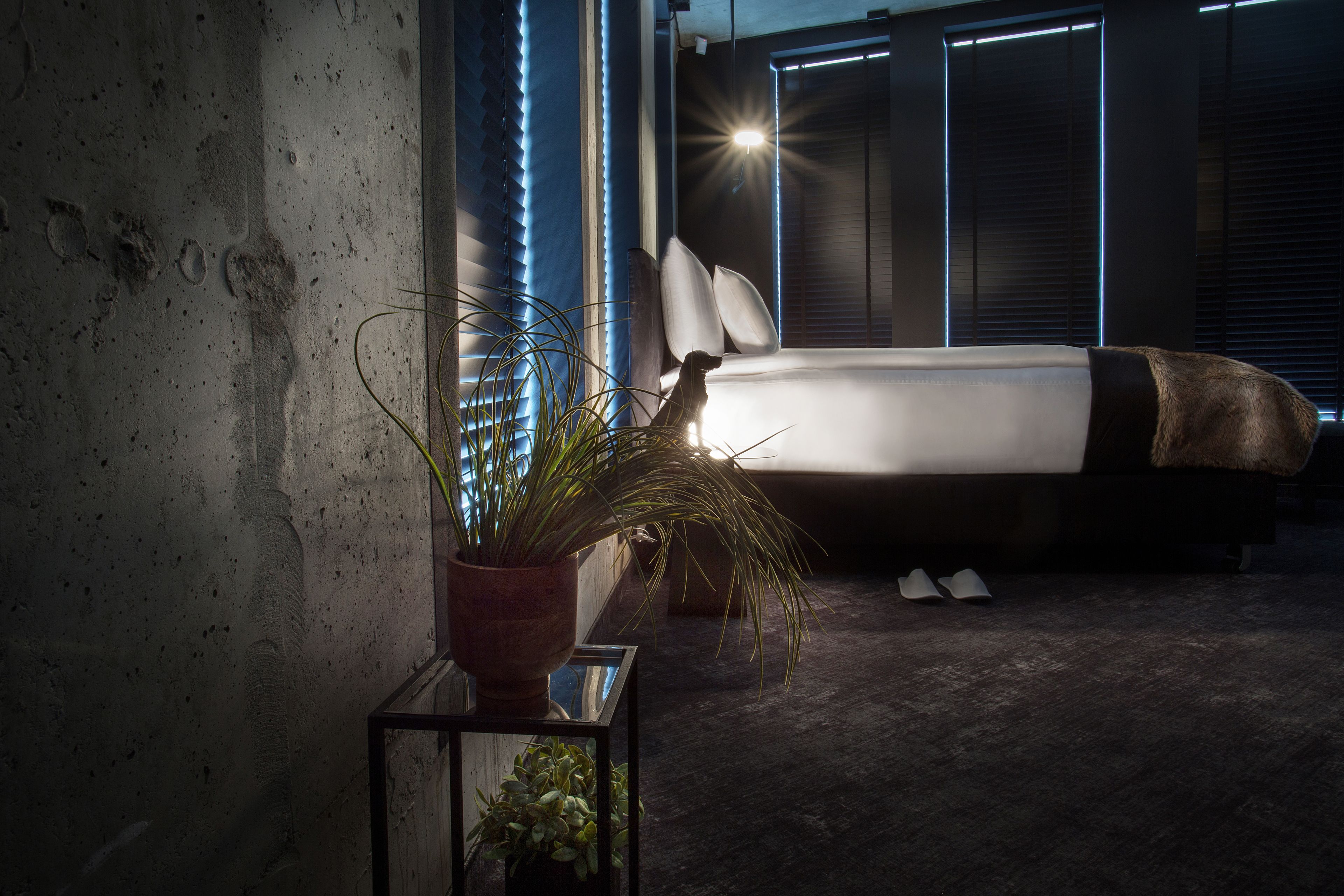 Foto - The Loft Hotel - Adults Only