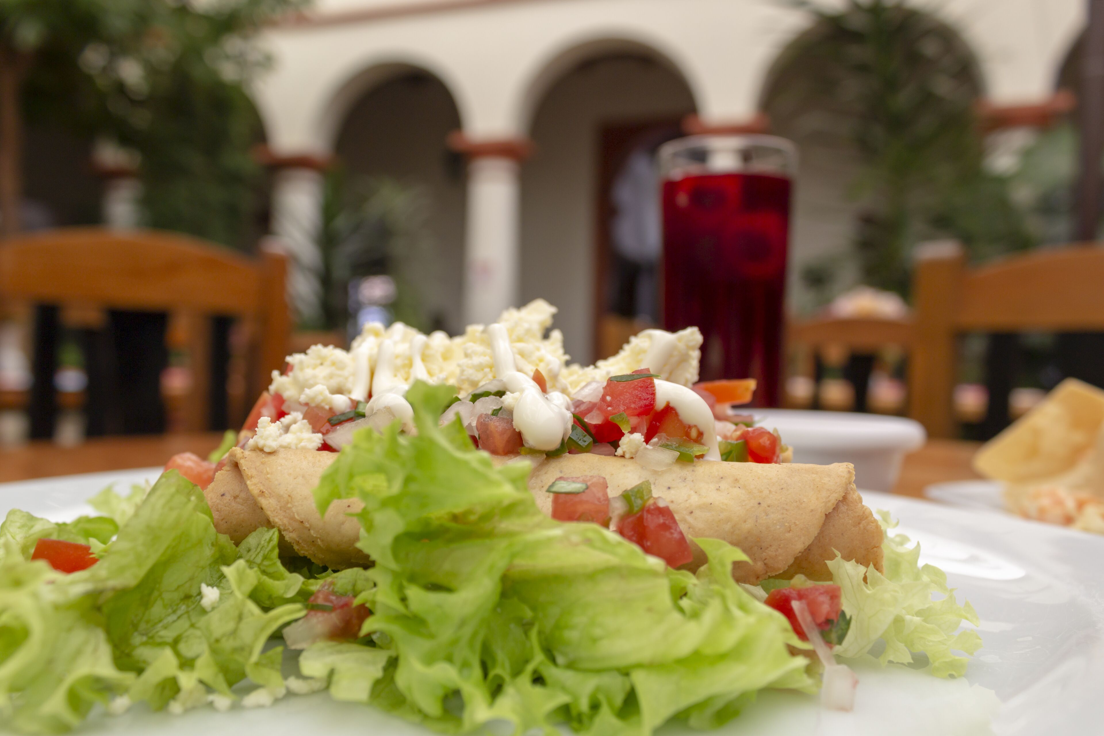 Photo - Plaza Magnolias