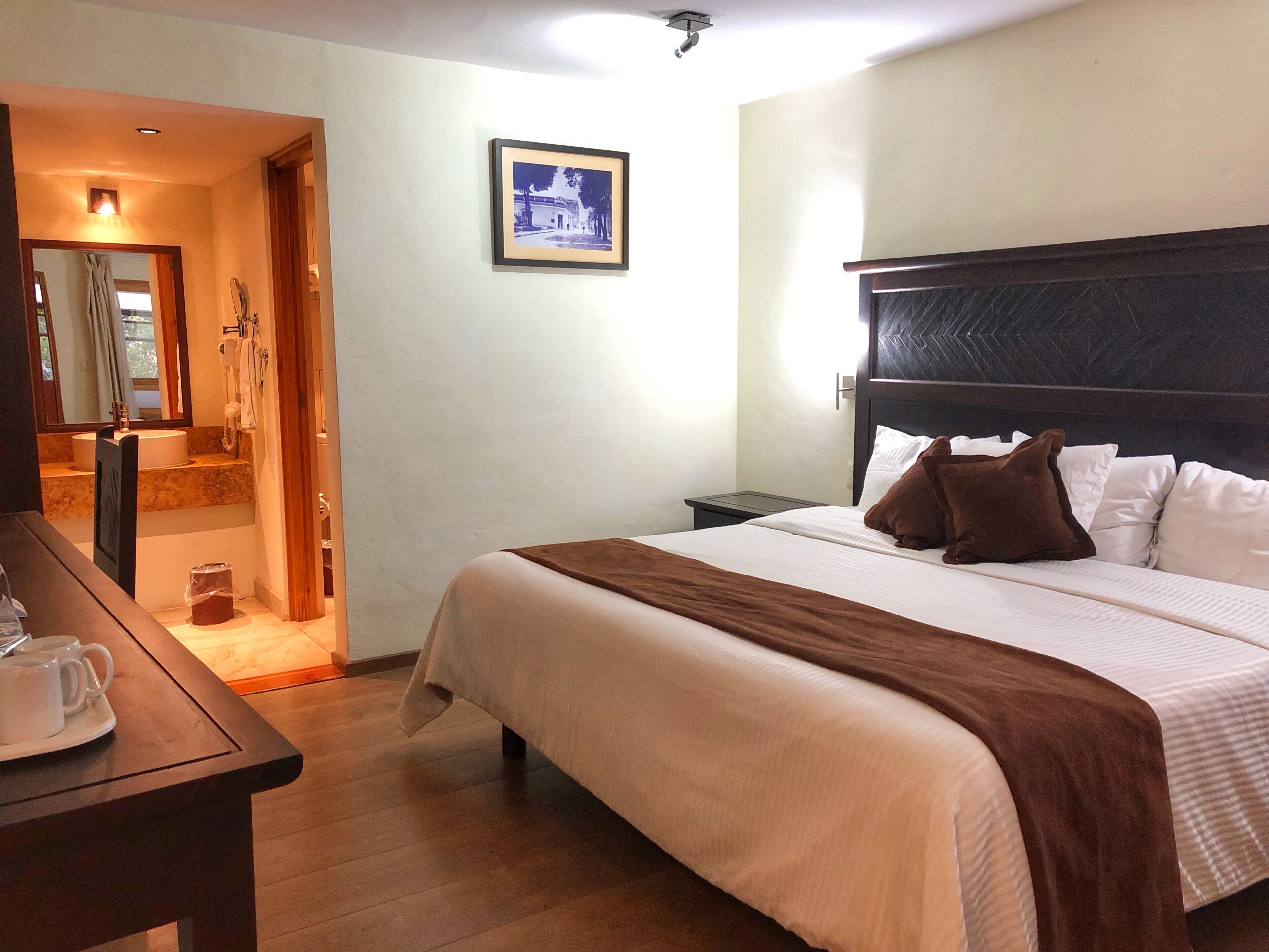 standard room, 1 king bed | in-room safe, desk, blackout curtains, iron/ironing board