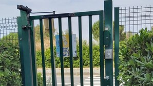 Une porte métallique verte, dotée d’un clavier pour l’ouverture, et entourée de verdure.
