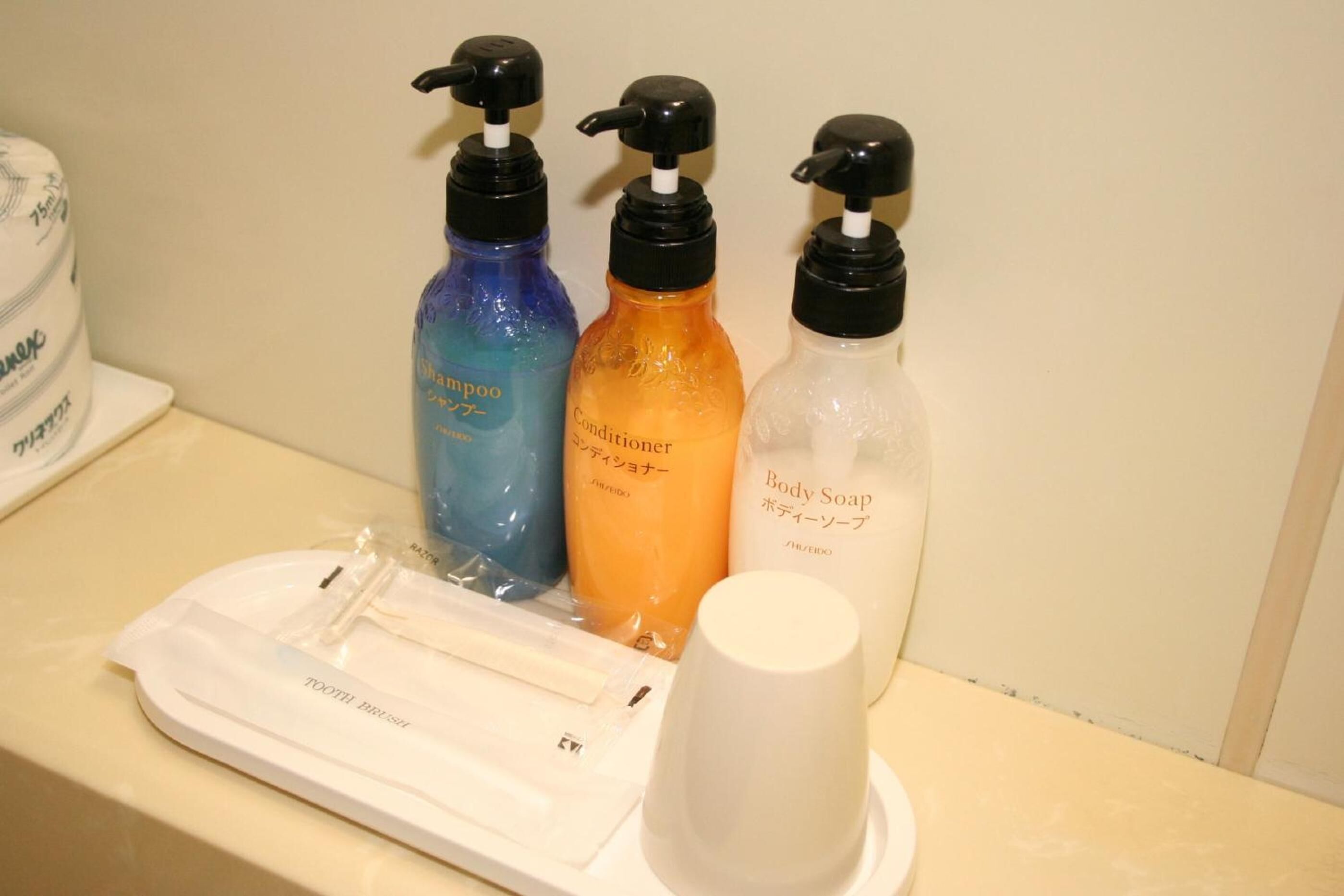 combined shower/bathtub, hair dryer, slippers, electronic bidet