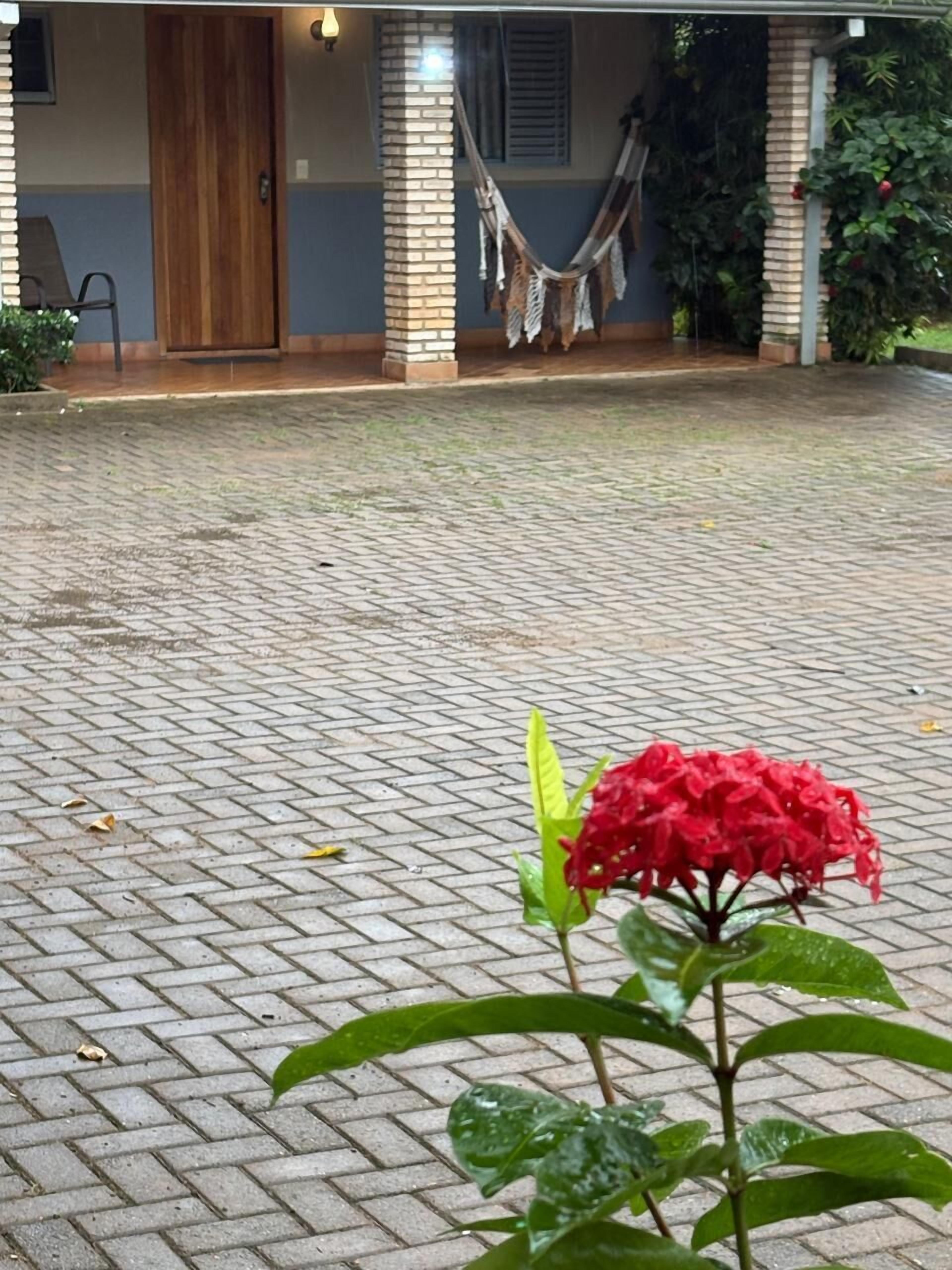 Estacionamiento gratis