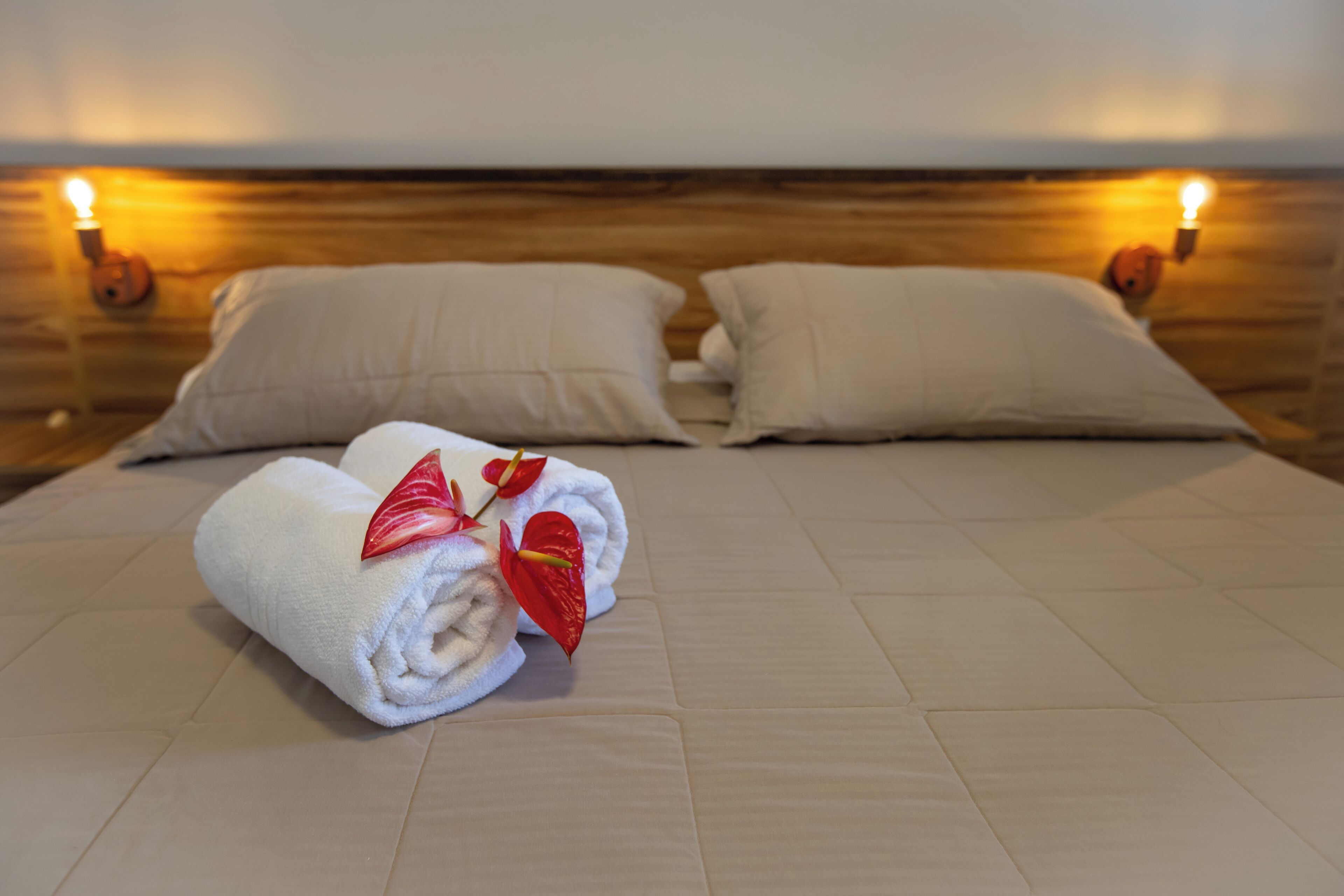 Minibar, free WiFi, bed sheets