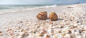 Delightful Home With Pool and Direct Boating Access